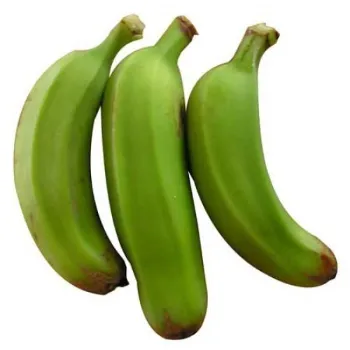 Fresh Green Banana